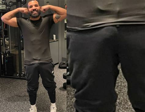 drake big dick leak|Drake Penis